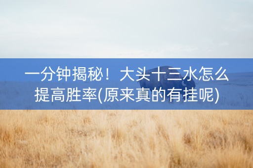 一分钟揭秘！大头十三水怎么提高胜率(原来真的有挂呢)