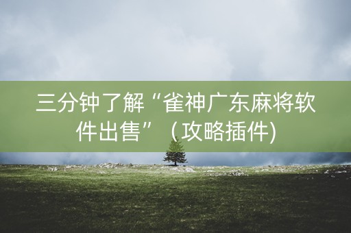 三分钟了解“雀神广东麻将软件出售”（攻略插件)