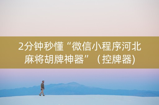 2分钟秒懂“微信小程序河北麻将胡牌神器”（控牌器)