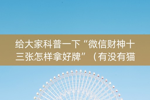 给大家科普一下“微信财神十三张怎样拿好牌”（有没有猫腻)