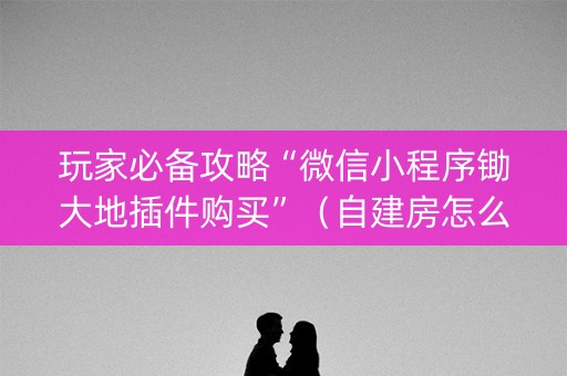 玩家必备攻略“微信小程序锄大地插件购买”（自建房怎么拿好牌)
