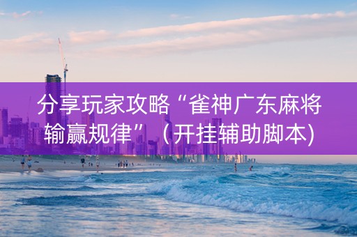 分享玩家攻略“雀神广东麻将输赢规律”（开挂辅助脚本)