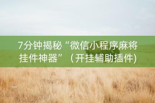 7分钟揭秘“微信小程序麻将挂件神器”（开挂辅助插件)