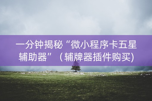 一分钟揭秘“微小程序卡五星辅助器”（辅牌器插件购买)