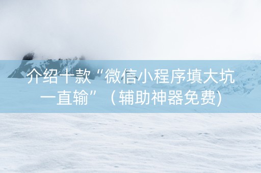 介绍十款“微信小程序填大坑一直输”（辅助神器免费)