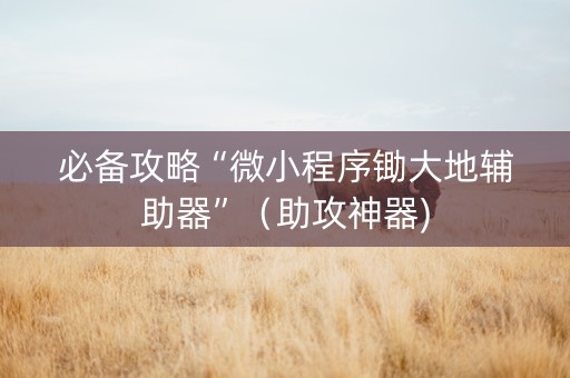 必备攻略“微小程序锄大地辅助器”（助攻神器)