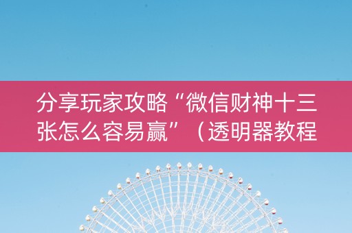 分享玩家攻略“微信财神十三张怎么容易赢”（透明器教程)