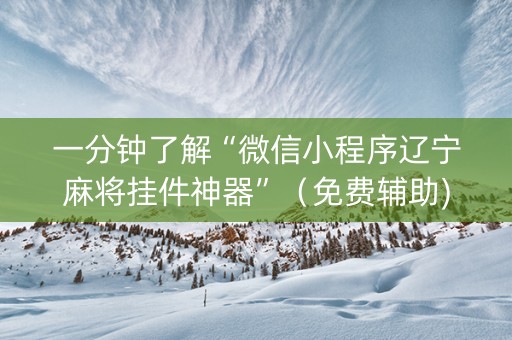 一分钟了解“微信小程序辽宁麻将挂件神器”（免费辅助)