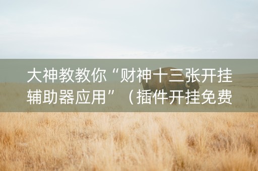 大神教教你“财神十三张开挂辅助器应用”（插件开挂免费AI)