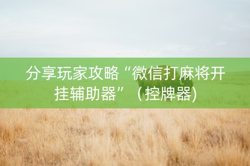 分享玩家攻略“微信打麻将开挂辅助器”（控牌器)