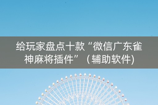 给玩家盘点十款“微信广东雀神麻将插件”（辅助软件)