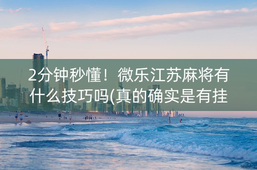 2分钟秒懂！微乐江苏麻将有什么技巧吗(真的确实是有挂)