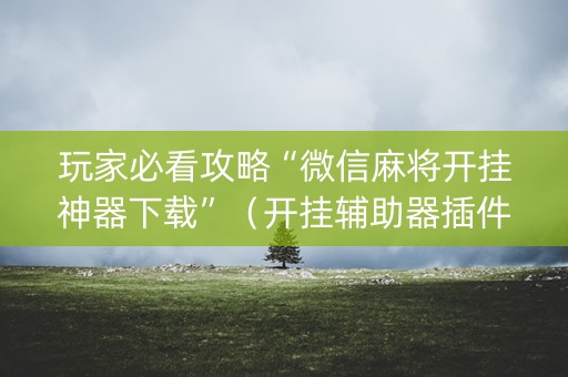 玩家必看攻略“微信麻将开挂神器下载”（开挂辅助器插件)