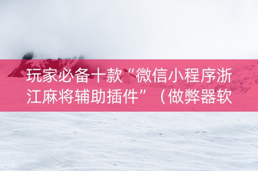 玩家必备十款“微信小程序浙江麻将辅助插件”（做弊器软件下载)