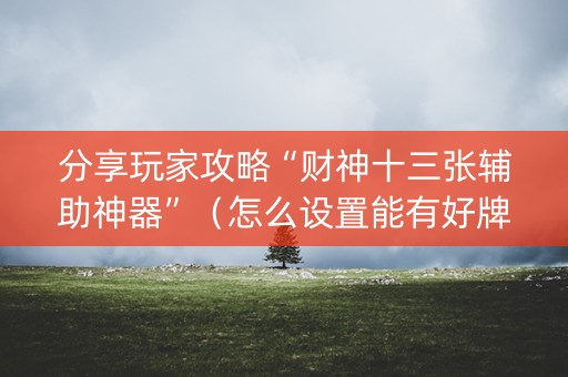 分享玩家攻略“财神十三张辅助神器”(怎么设置能有好牌) 分享玩家攻略“财神十三张辅助神器”(怎么设置能有好牌)