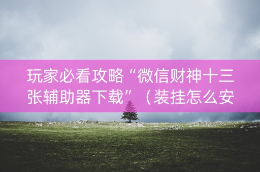 玩家必看攻略“微信财神十三张辅助器下载”（装挂怎么安装)