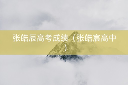 张皓辰高考成绩（张皓宸高中）