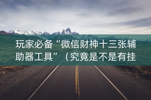 玩家必备“微信财神十三张辅助器工具”（究竟是不是有挂)