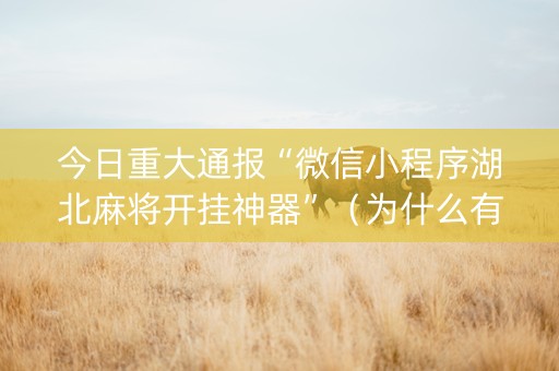 今日重大通报“微信小程序湖北麻将开挂神器”（为什么有人一直赢)