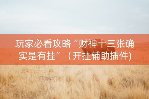 玩家必看攻略“财神十三张确实是有挂”（开挂辅助插件)