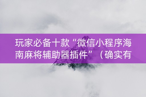 玩家必备十款“微信小程序海南麻将辅助器插件”（确实有插件吗)