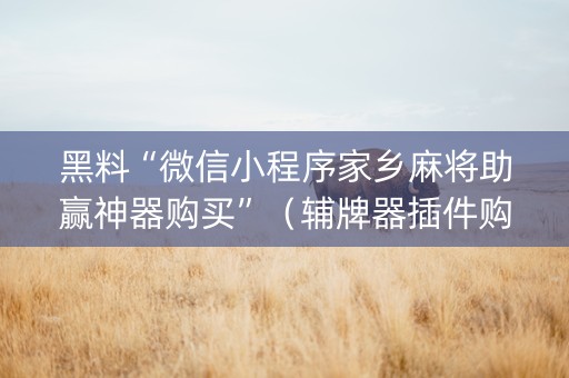 黑料“微信小程序家乡麻将助赢神器购买”（辅牌器插件购买)