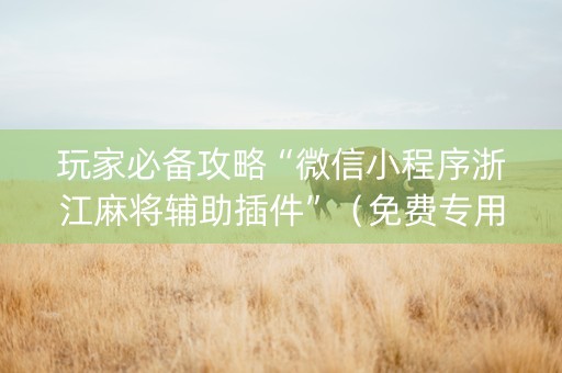 玩家必备攻略“微信小程序浙江麻将辅助插件”（免费专用神器)