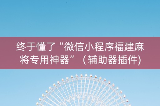 终于懂了“微信小程序福建麻将专用神器”（辅助器插件)