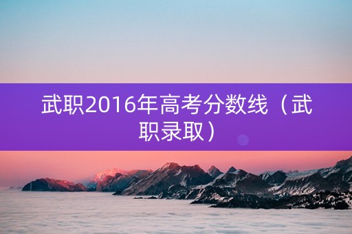 武职2016年高考分数线（武职录取）