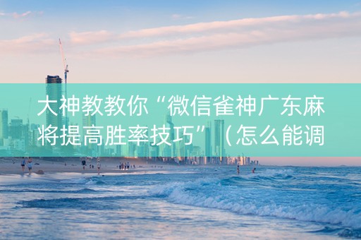 大神教教你“微信雀神广东麻将提高胜率技巧”（怎么能调好牌)