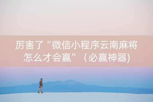 厉害了“微信小程序云南麻将怎么才会赢”（必赢神器)