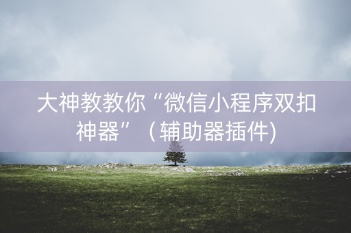 大神教教你“微信小程序双扣神器”（辅助器插件)