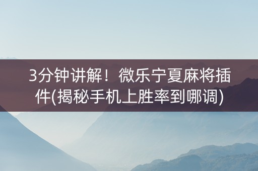 3分钟讲解！微乐宁夏麻将插件(揭秘手机上胜率到哪调)