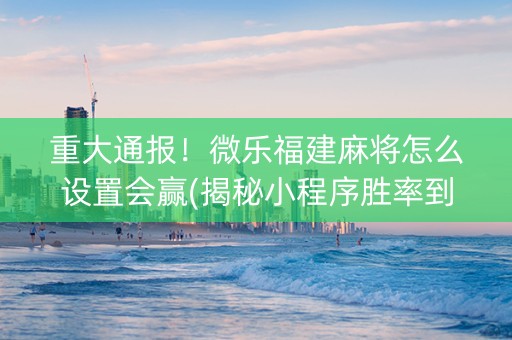 重大通报！微乐福建麻将怎么设置会赢(揭秘小程序胜率到哪调)