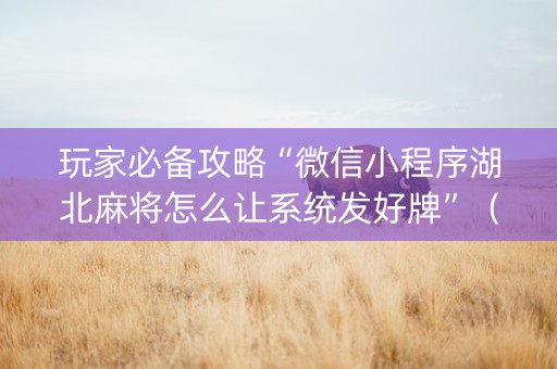 玩家必备攻略“微信小程序湖北麻将怎么让系统发好牌”（透明挂辅助器)