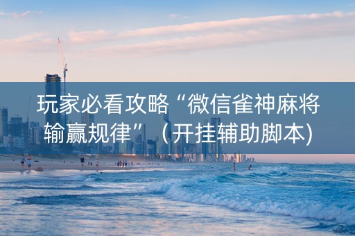 玩家必看攻略“微信雀神麻将输赢规律”（开挂辅助脚本)