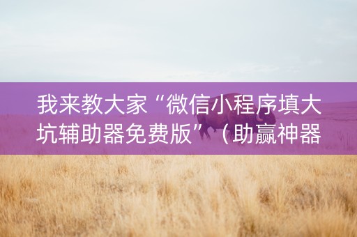 我来教大家“微信小程序填大坑辅助器免费版”（助赢神器)