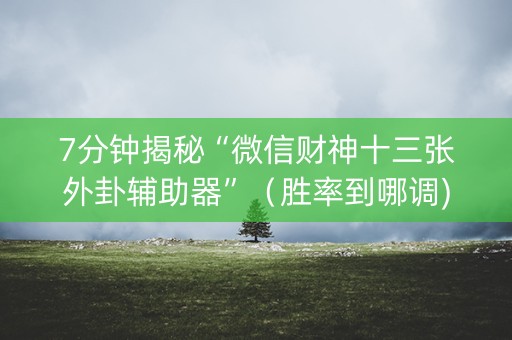 7分钟揭秘“微信财神十三张外卦辅助器”（胜率到哪调)