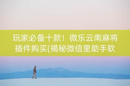 玩家必备十款！微乐云南麻将插件购买(揭秘微信里助手软件)