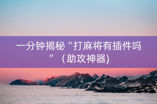 一分钟揭秘“打麻将有插件吗”（助攻神器)