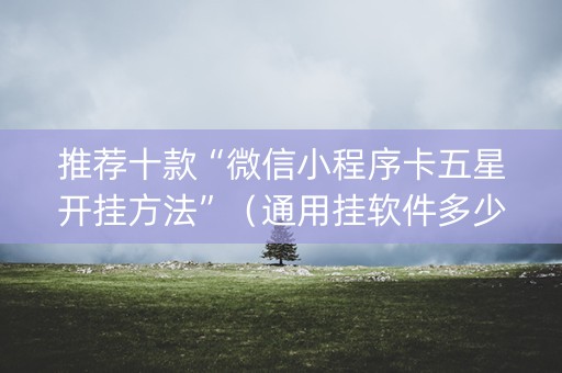 推荐十款“微信小程序卡五星开挂方法”（通用挂软件多少钱)