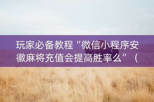 玩家必备教程“微信小程序安徽麻将充值会提高胜率么”（有什么诀窍)