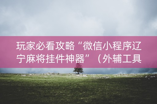 玩家必看攻略“微信小程序辽宁麻将挂件神器”（外辅工具)