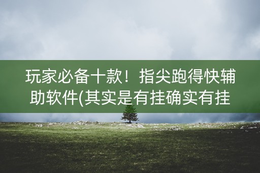 玩家必备十款！指尖跑得快辅助软件(其实是有挂确实有挂)