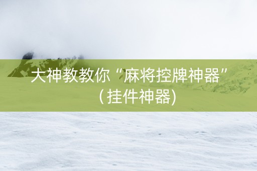 大神教教你“麻将控牌神器”（挂件神器)