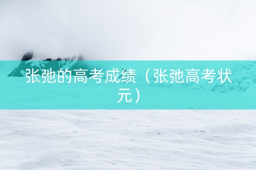 张弛的高考成绩（张弛高考状元）