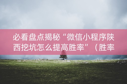 必看盘点揭秘“微信小程序陕西挖坑怎么提高胜率”（胜率到哪调)