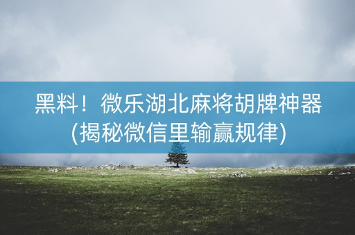 黑料！微乐湖北麻将胡牌神器(揭秘微信里输赢规律)