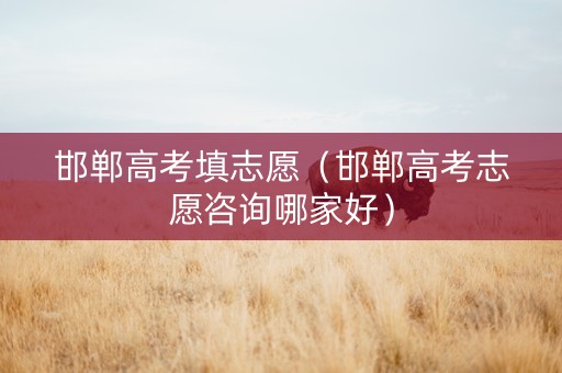 邯郸高考填志愿（邯郸高考志愿咨询哪家好）