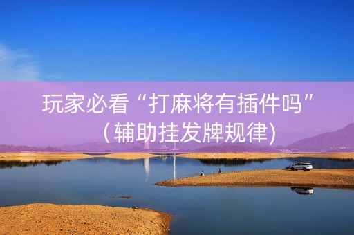 玩家必看“打麻将有插件吗”（辅助挂发牌规律)